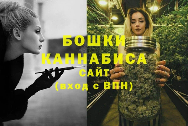 бутират Переславль-Залесский