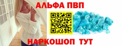 стафф Донской