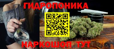 стафф Донской